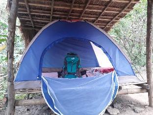 camping paradise and singalong mountain garden