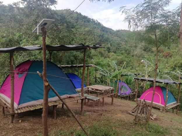 camping paradise and singalong mountain garden
