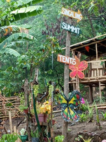 camping paradise and singalong mountain garden