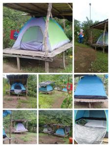 camping paradise and singalong mountain garden