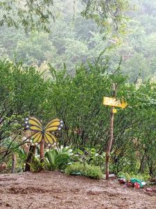 camping paradise and singalong mountain garden