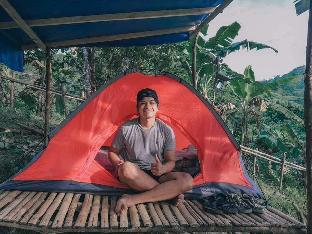 camping paradise and singalong mountain garden