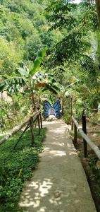 camping paradise and singalong mountain garden