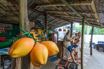 bright sunshine guest house