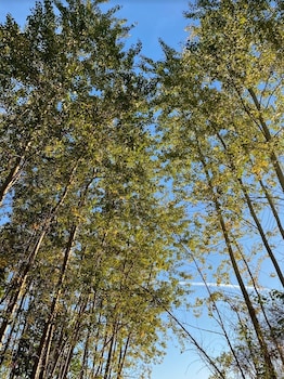 kirseb rkroen the inn between