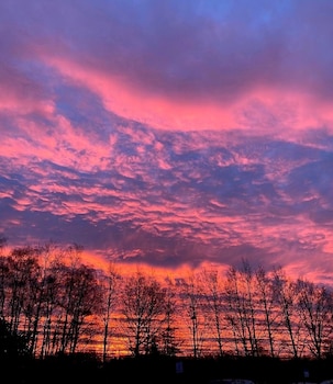 kirseb rkroen the inn between