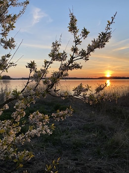 kirseb rkroen the inn between