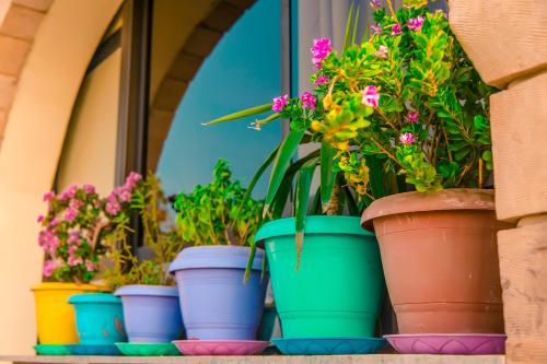 basma executive club