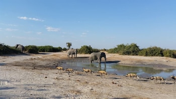 third bridge mobile camp