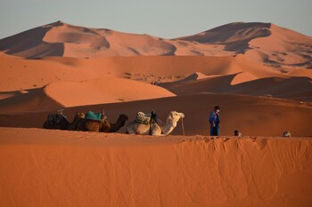 kasbah panorama oasis