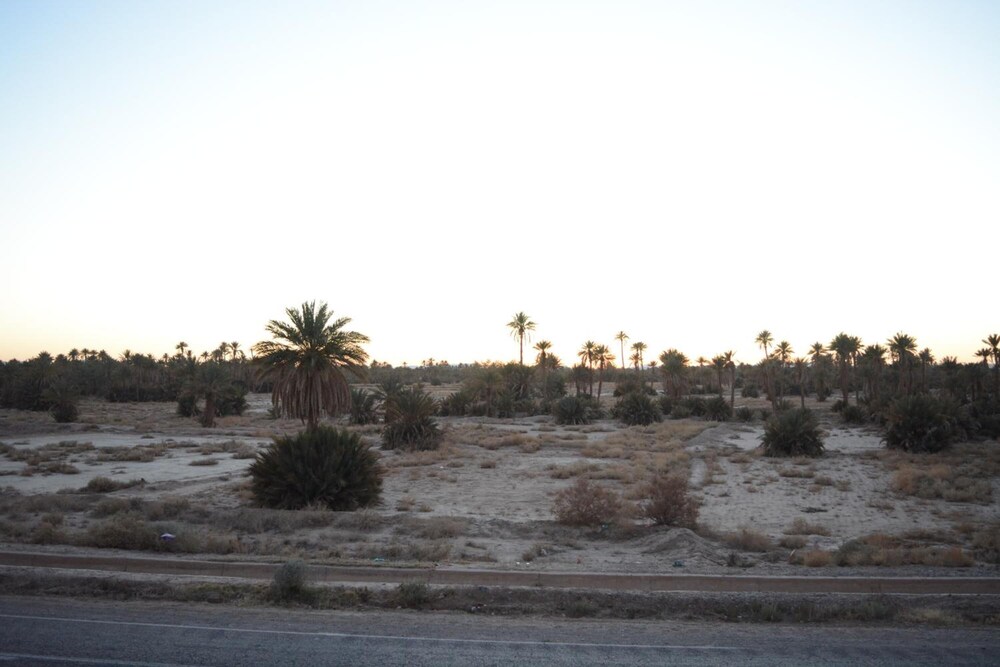 kasbah panorama oasis