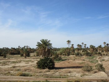 kasbah panorama oasis