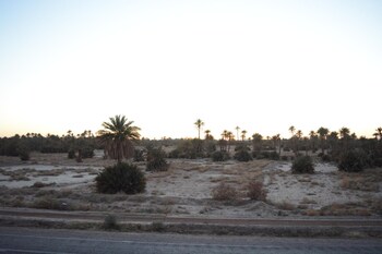 kasbah panorama oasis