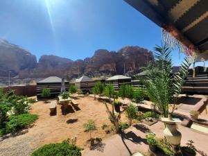 bedouin village camp