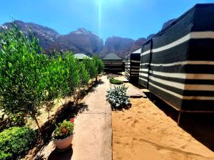 bedouin village camp