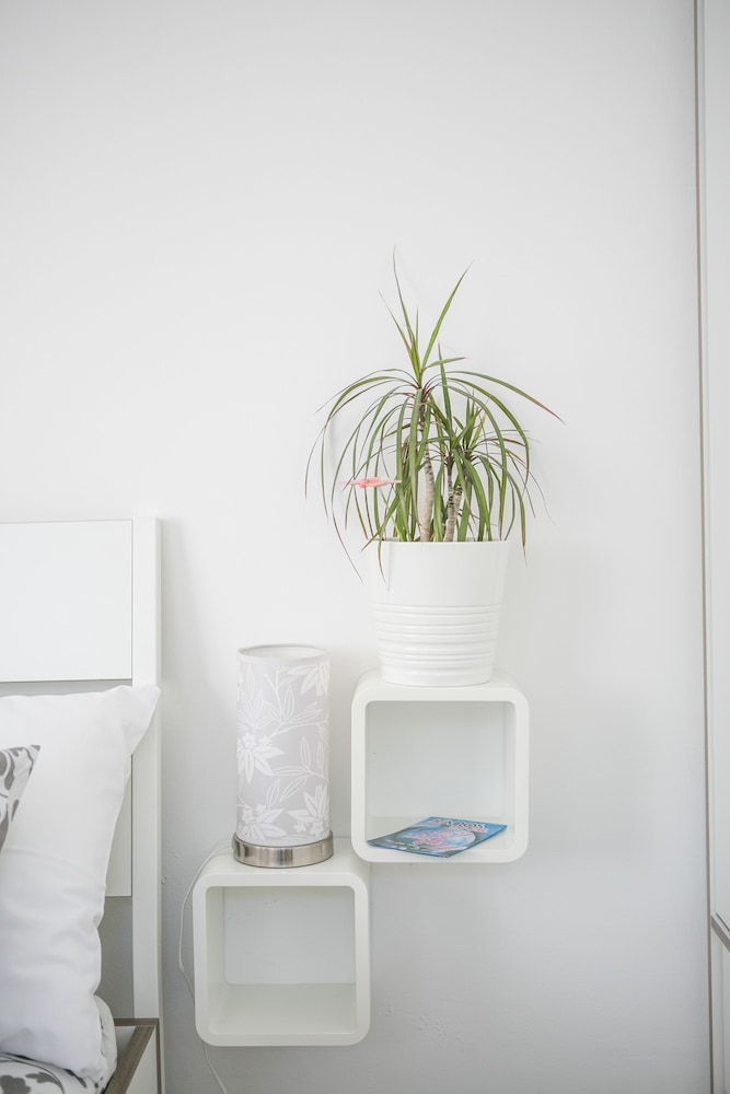 modern living in the heart of trogir
