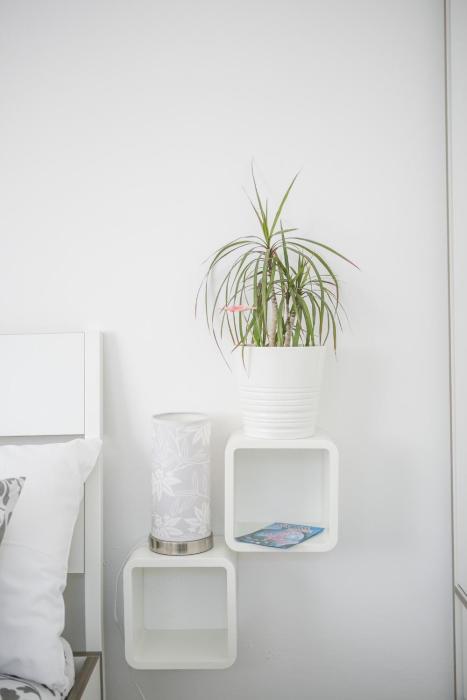 modern living in the heart of trogir