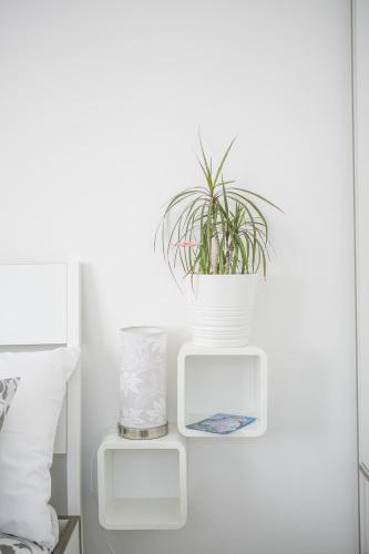 modern living in the heart of trogir
