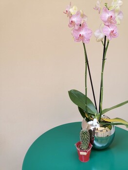 margherita boutique rooms