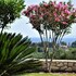 villa belvedere zakynthos