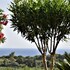 villa belvedere zakynthos