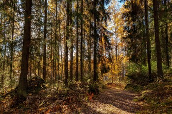 peace and privacy travel aulanko lake hide out