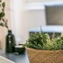 family apartments san lorenzo
