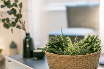 family apartments san lorenzo