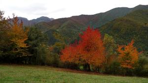 viviendas rurales los llares