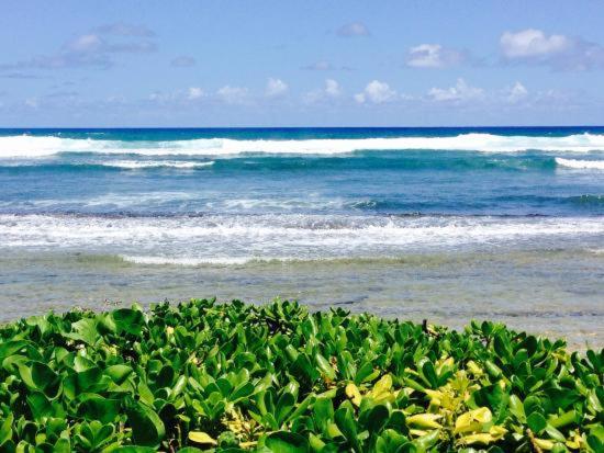 lihue