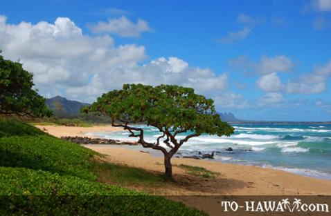 lihue