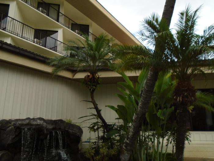 lihue