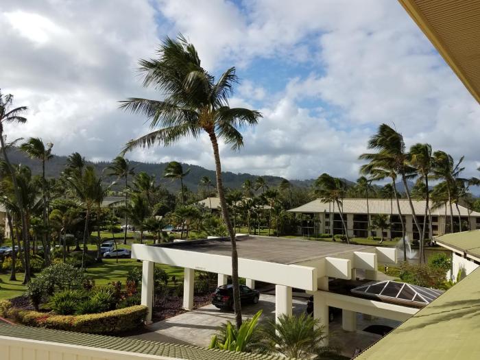 lihue