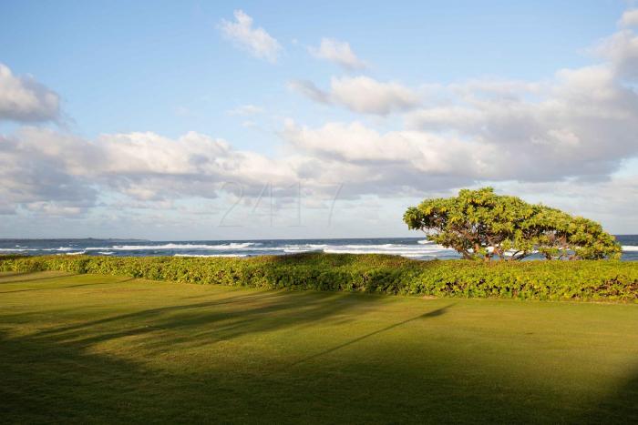 2417 at lihue oceanfront resort
