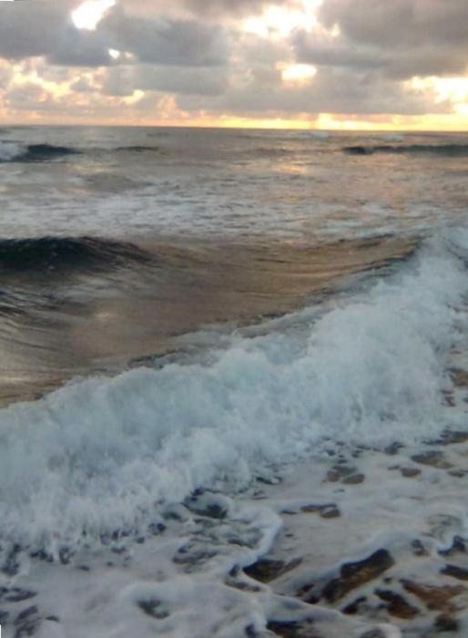 2417 at lihue oceanfront resort