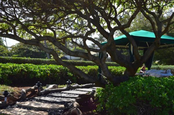 2417 at lihue oceanfront resort