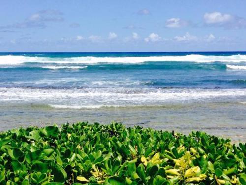 lihue