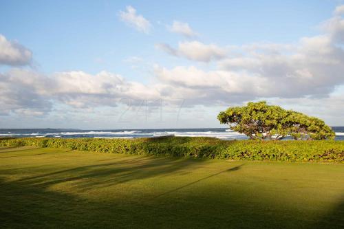 2417 at lihue oceanfront resort