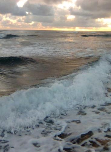 2417 at lihue oceanfront resort