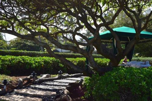 2417 at lihue oceanfront resort