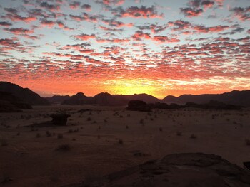 al sultan bedouin camp