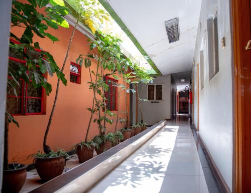 jupiter guest house parklands