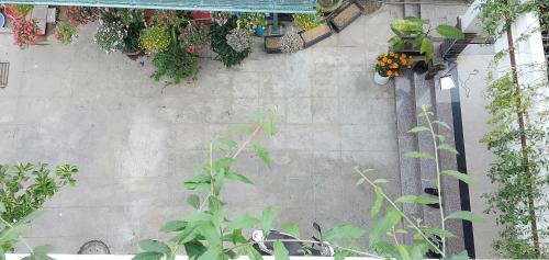 hoi an town of viet house homestay