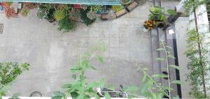 hoi an town of viet house homestay