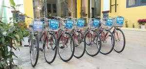 hoi an town of viet house homestay