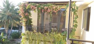 hoi an town of viet house homestay