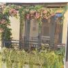 hoi an town of viet house homestay