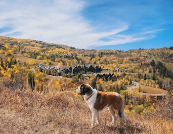 the ritz carlton bachelor gulch