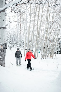 the ritz carlton bachelor gulch