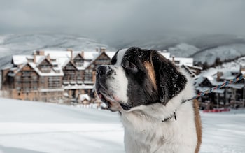 the ritz carlton bachelor gulch
